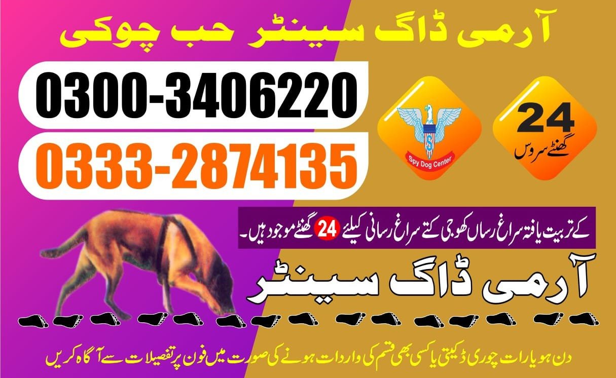 Army Dog Center | | 24/7 |hub chowki 03332874135 | 03003406220
