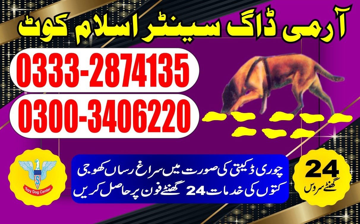 Army Dog Center 🐕  Islamkot mithi 24/7 03001690800 03332874135