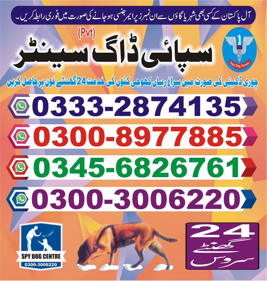 Army Dog Center | karachi | 24/7 | 03332874135 | 03003406220