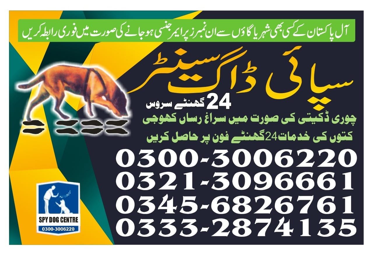 Army Dog Center 🐕  Sujawal 24/7 03001690800 03332874135