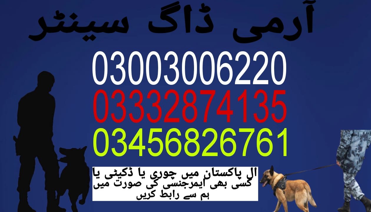 Army Dog Center 🐕 Umerkot  24/7 03001690800 03332874135