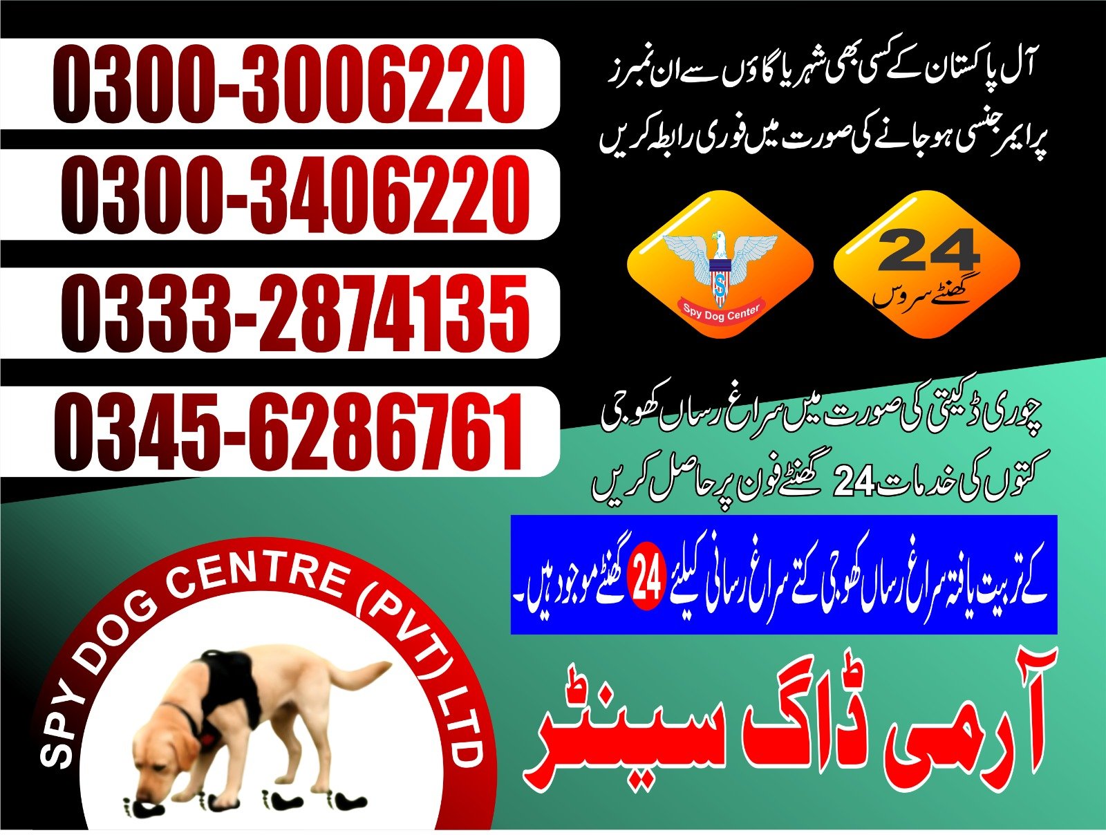 Army Dog Center 🐕   | karachi  | 03332874135 03001690800