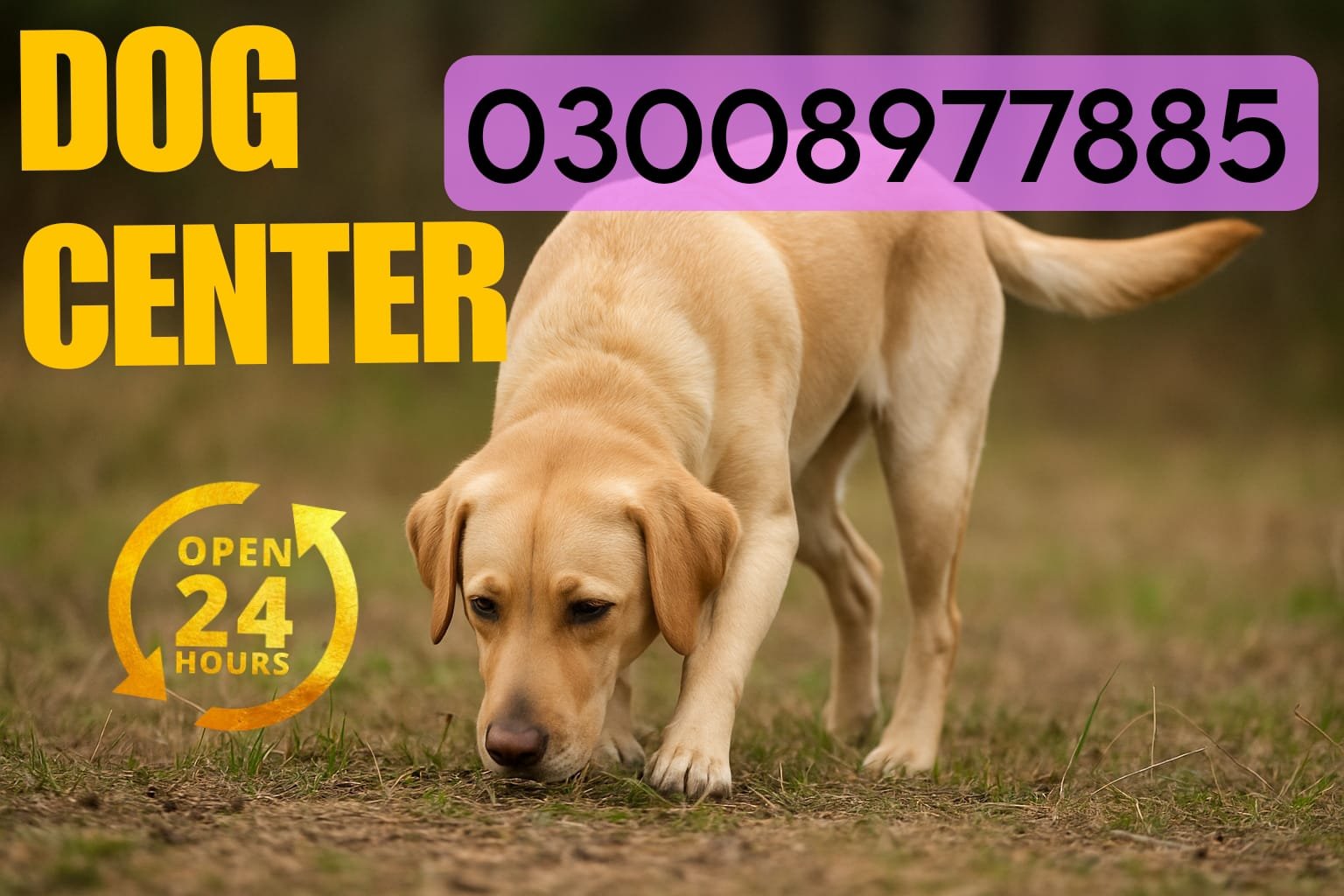 Army Dog Center 24/7.     | 03332874135 03001690800