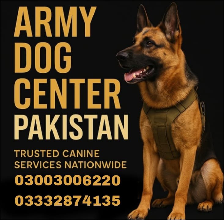 Army Dog Center 🐕   | kunri   | 03332874135 03001690800