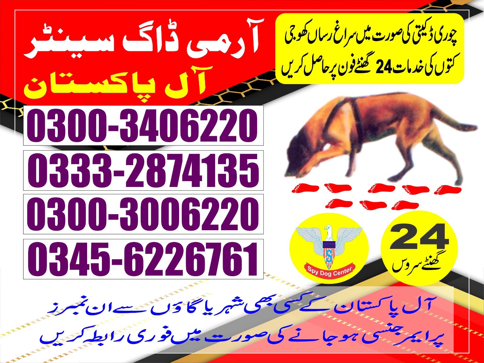 |  Army Dog Center  | |  kasur   24/7 | 03332874135  03008977885