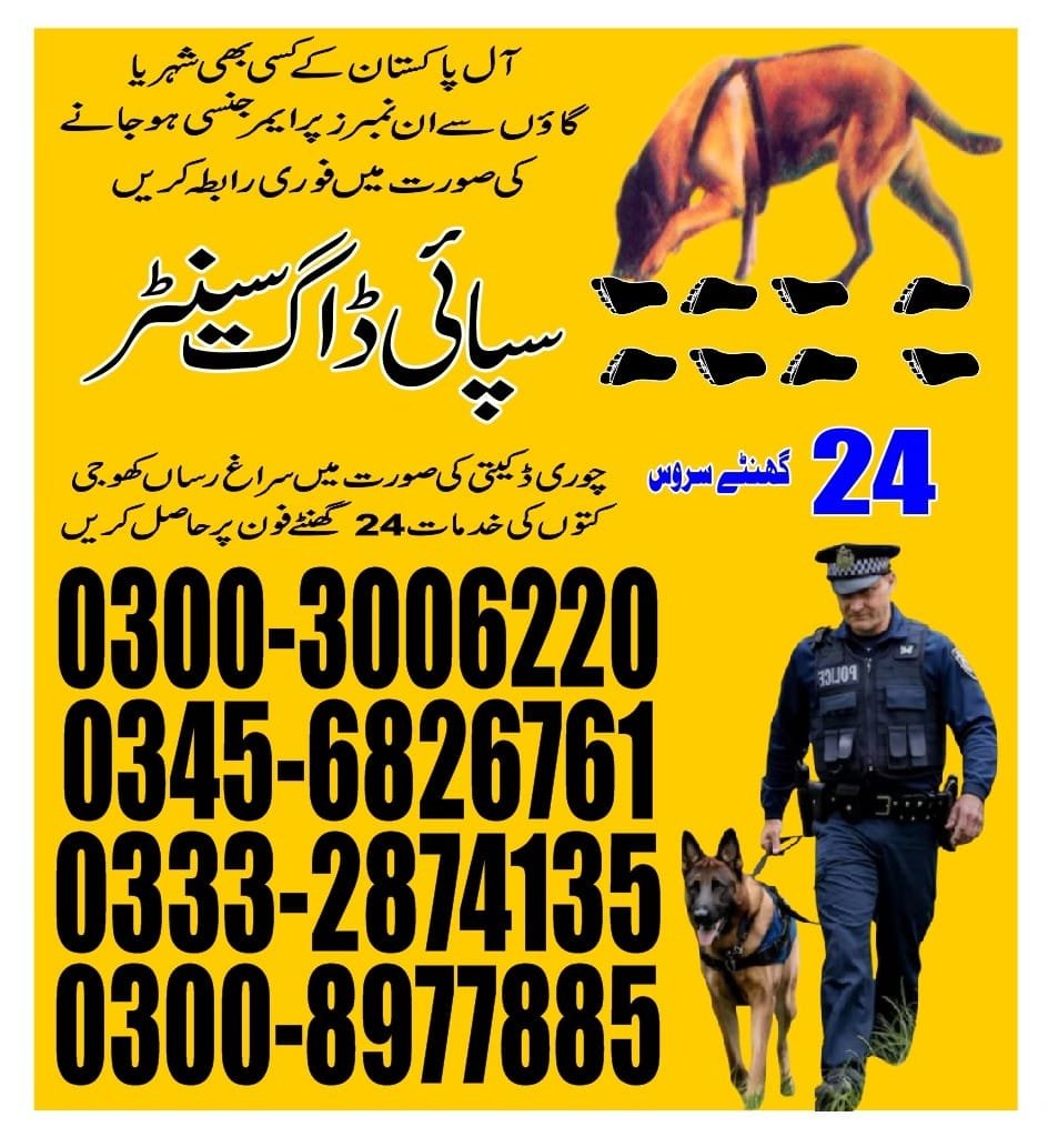 Army Dog Center  ||  kharian cantt  || 03332874135 ||24/7||
