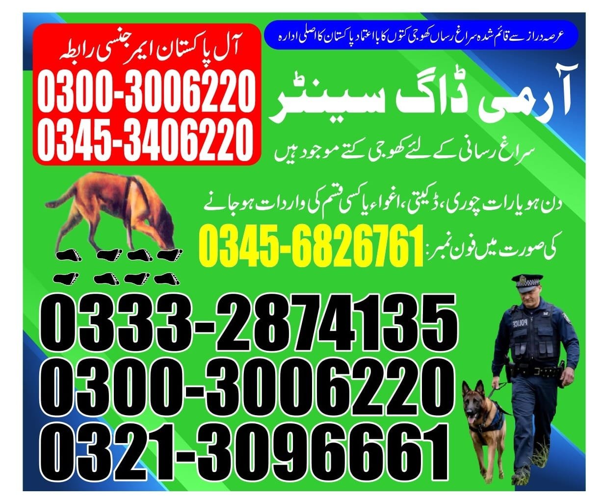 Army Dog Center |     layyah   | 24/7 | 03332874135