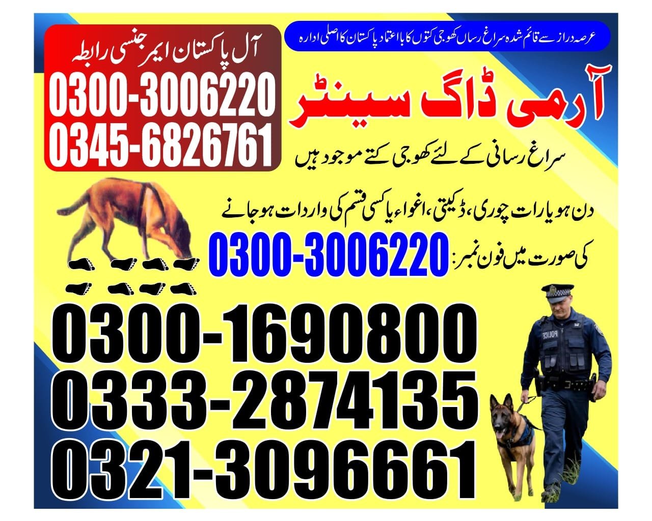 Army Dog Center | dadu | 24/7 service | contact us now | 03332874135