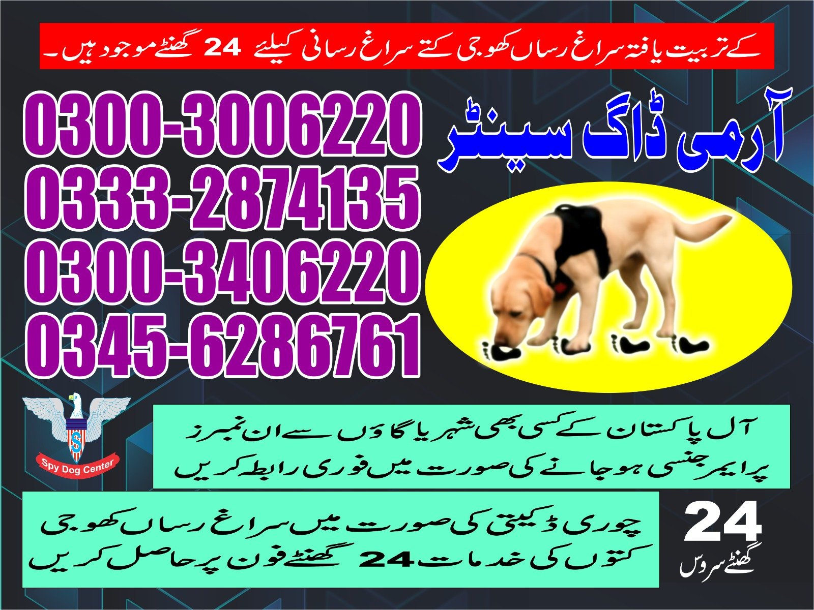 Army Dog Center | Nawabshah | 03332874135