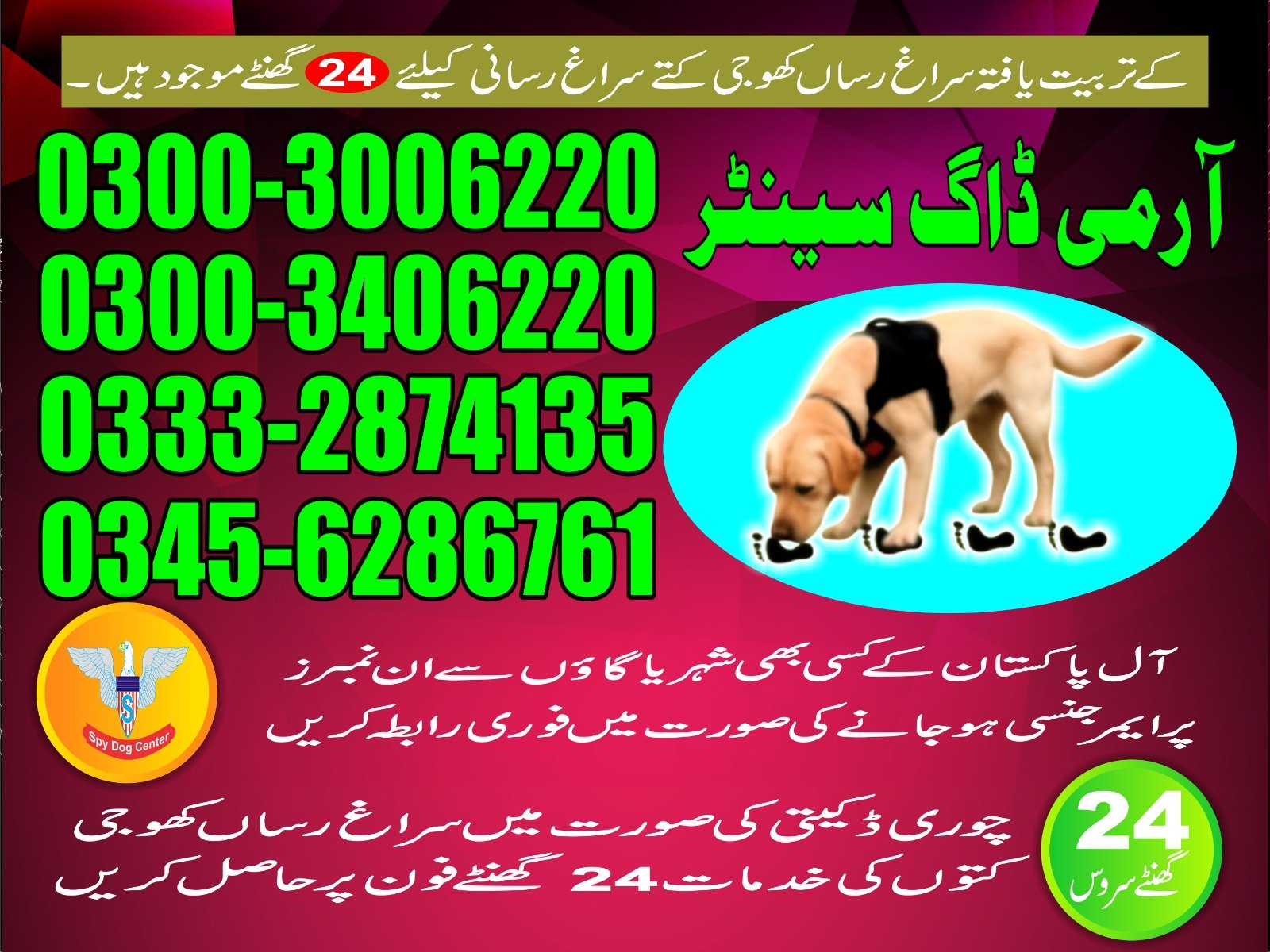 ARMY DOG CENTER | layyah | 03332874135 | 03008977885 |  24/7
