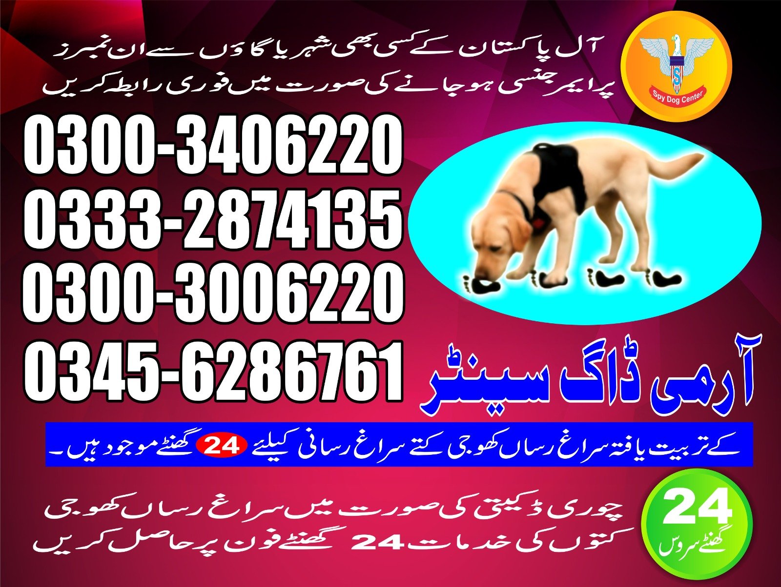 Army Dog Center  ||    Chiniot || 03332874135 ||24/7||