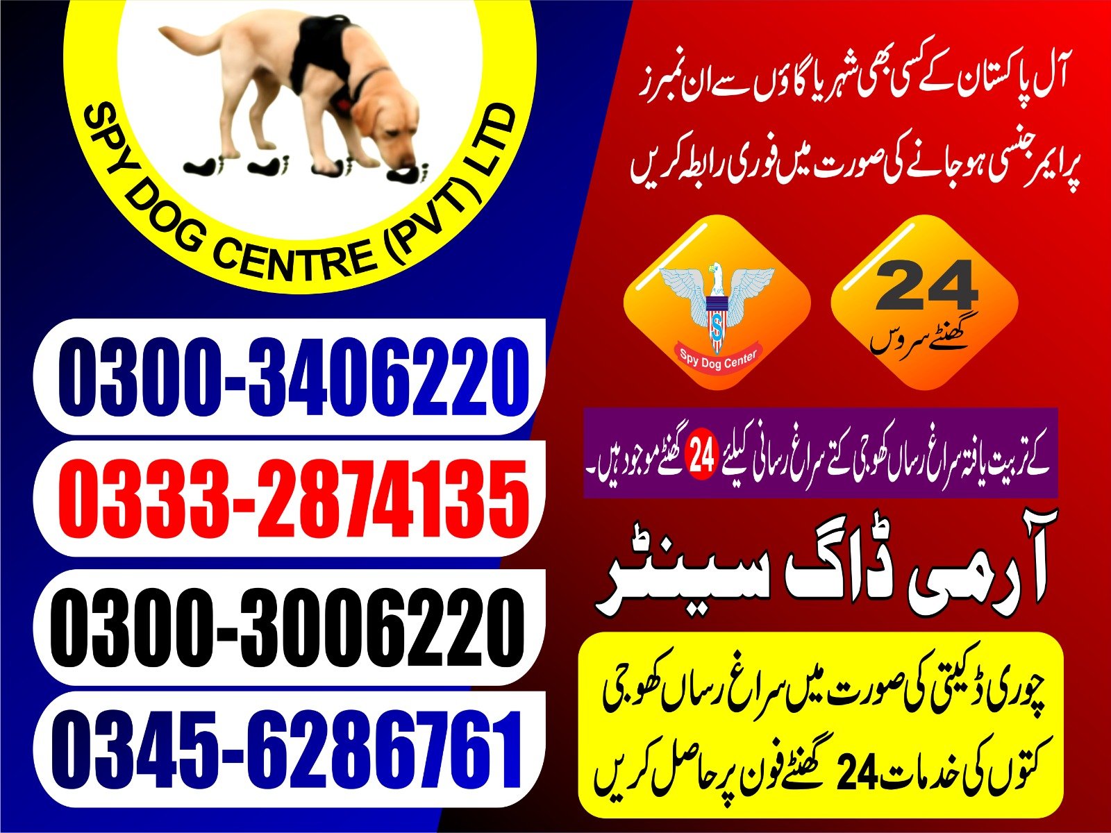 Army Dog Center.      Shahdadpur 03008977885 03332874135
