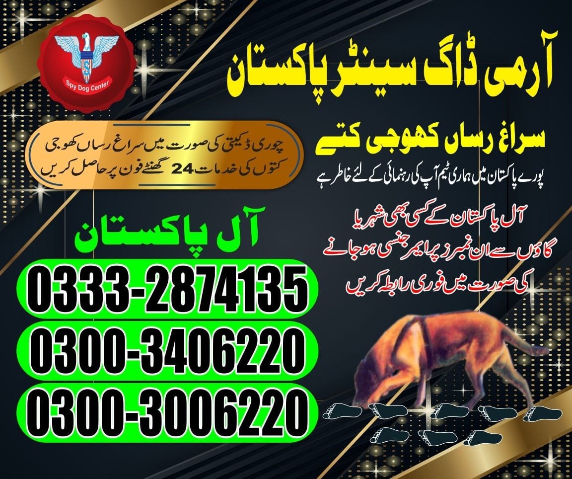 Army Dog Center. Makli jhampir  03332874135  03008977885