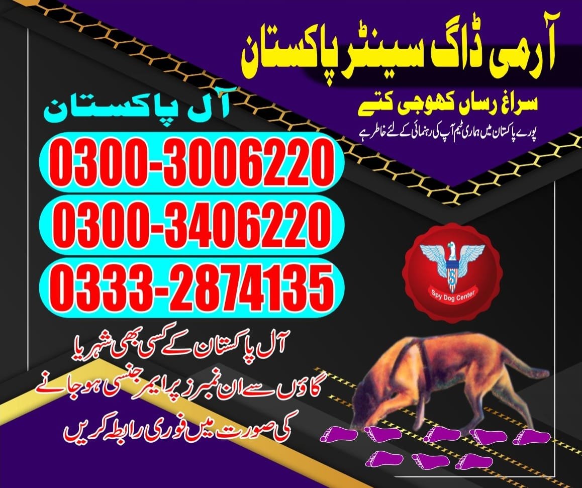 Army Dog Center.  Badin  03332874135  03008977885