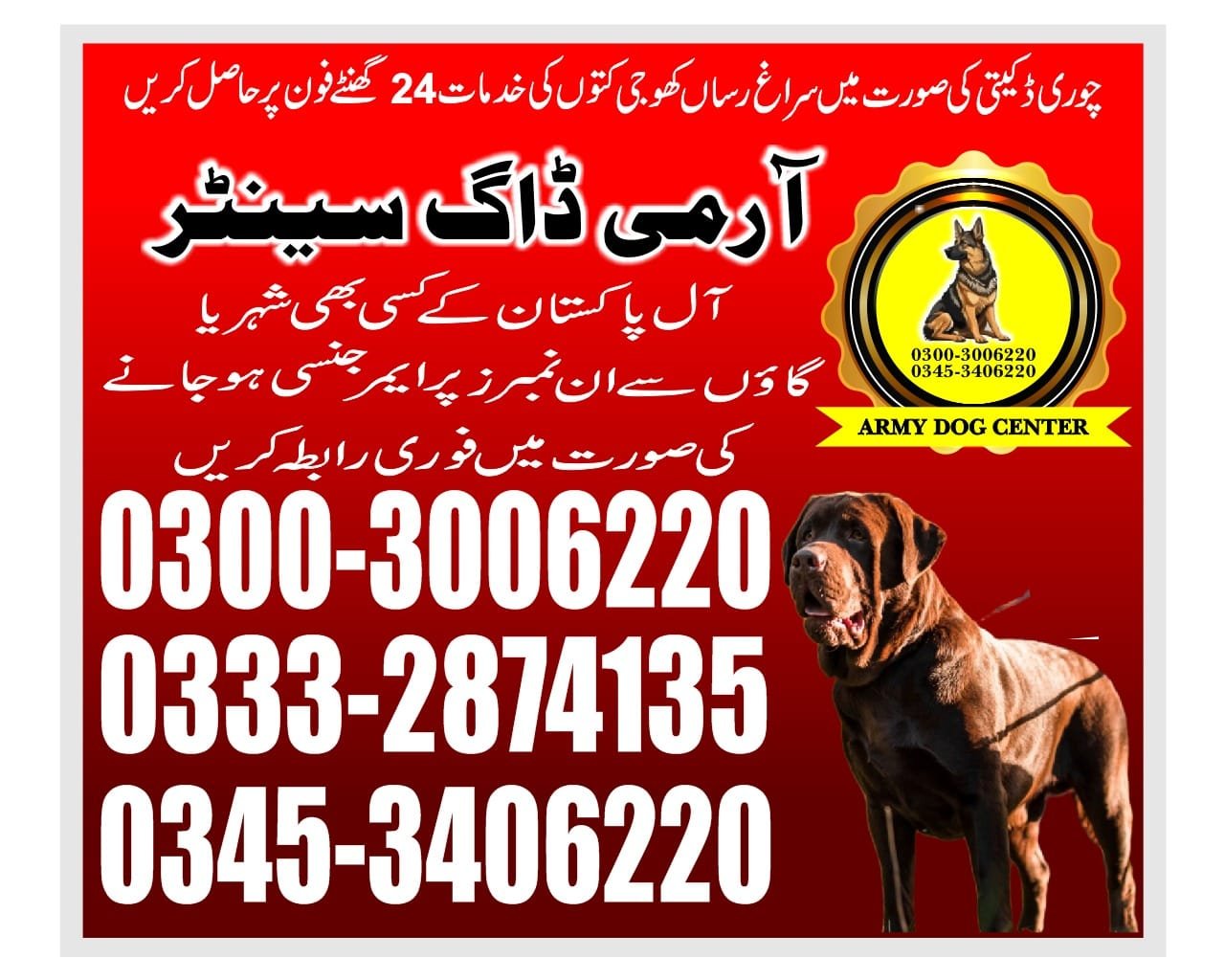 Army Dog Center.  l     Malircanttkarachi| Pakistan | 24/7 | 03332874135