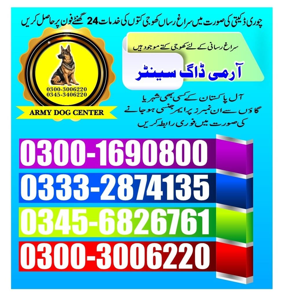 Army Dog Center  ||   kasur  || 03332874135 ||24/7||