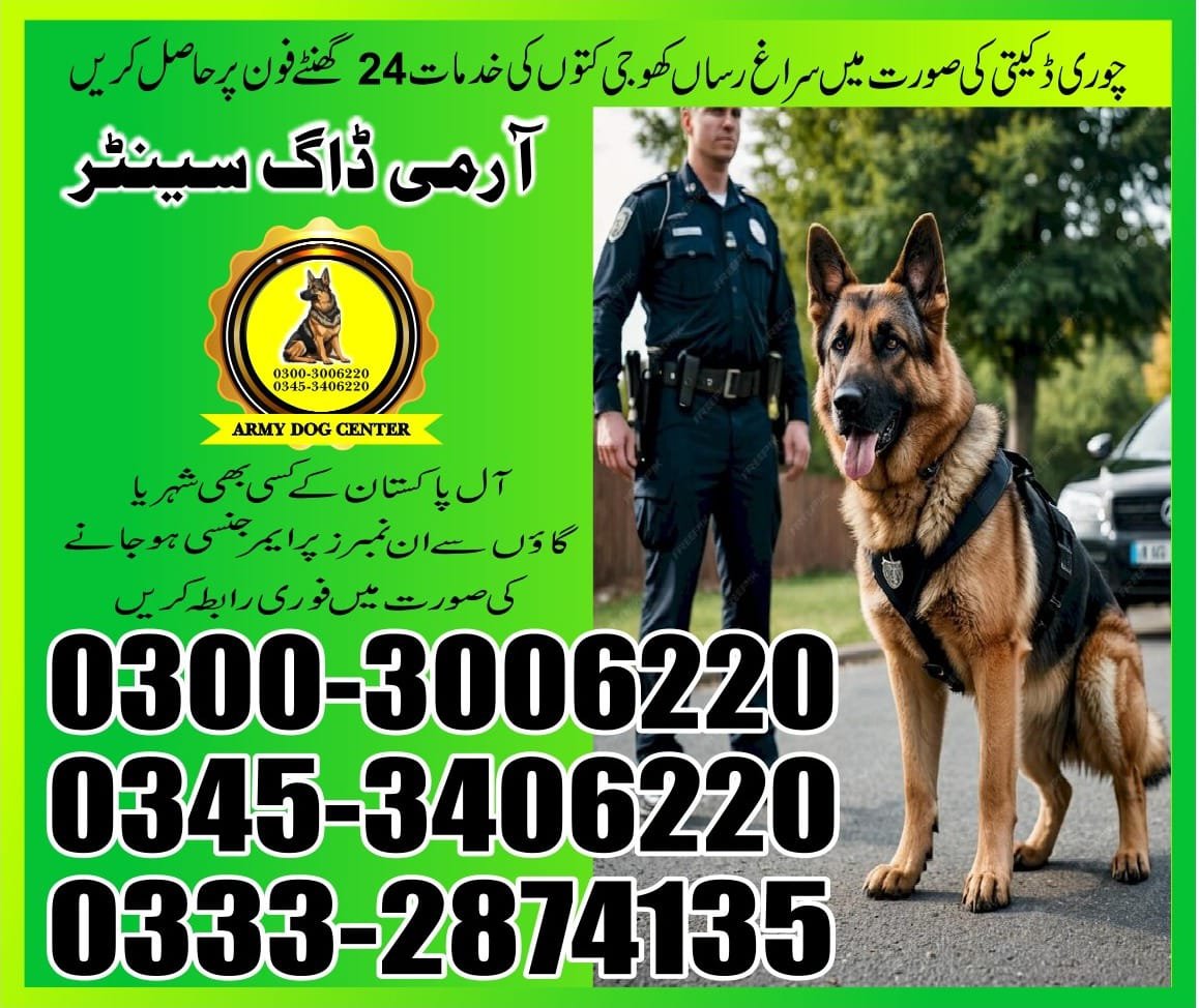 ARMY DOG CENTER |  jampeer      | 03332874135 | 03008977885 |  24/7