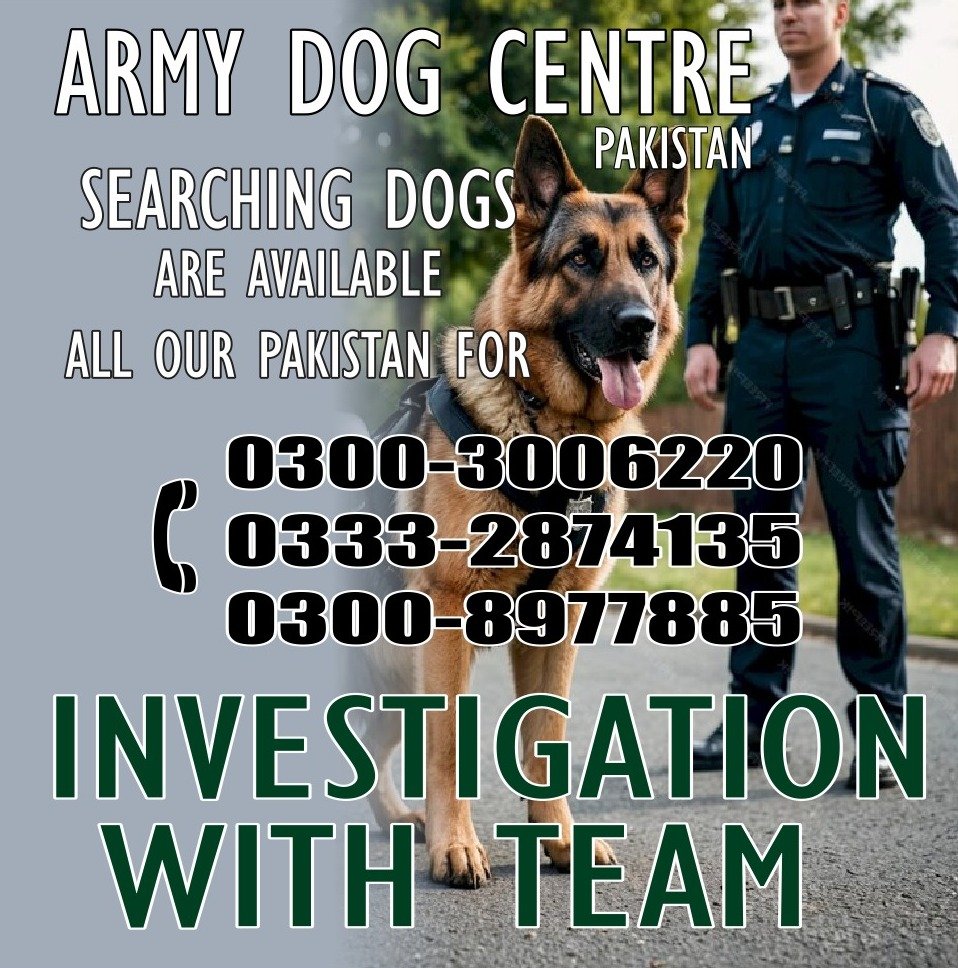 Army Dog Center.pakistan        03008977885 03332874135