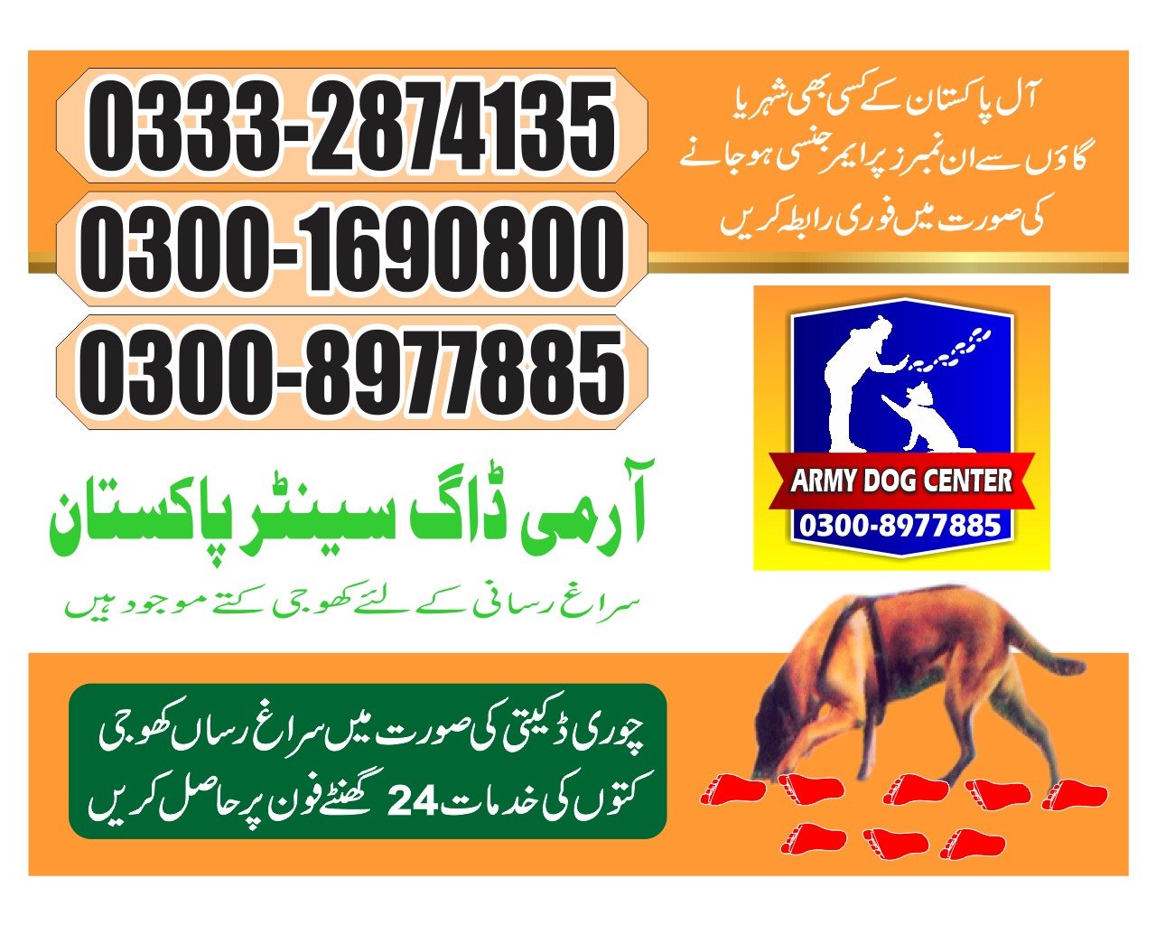 Army Dog Center |  Lalamusa    | 24/7 service | contact us now | 03332874135