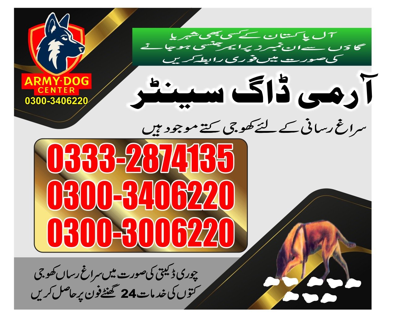 Army Dog Center  |   Rato dero| 03332874135 | 24/7