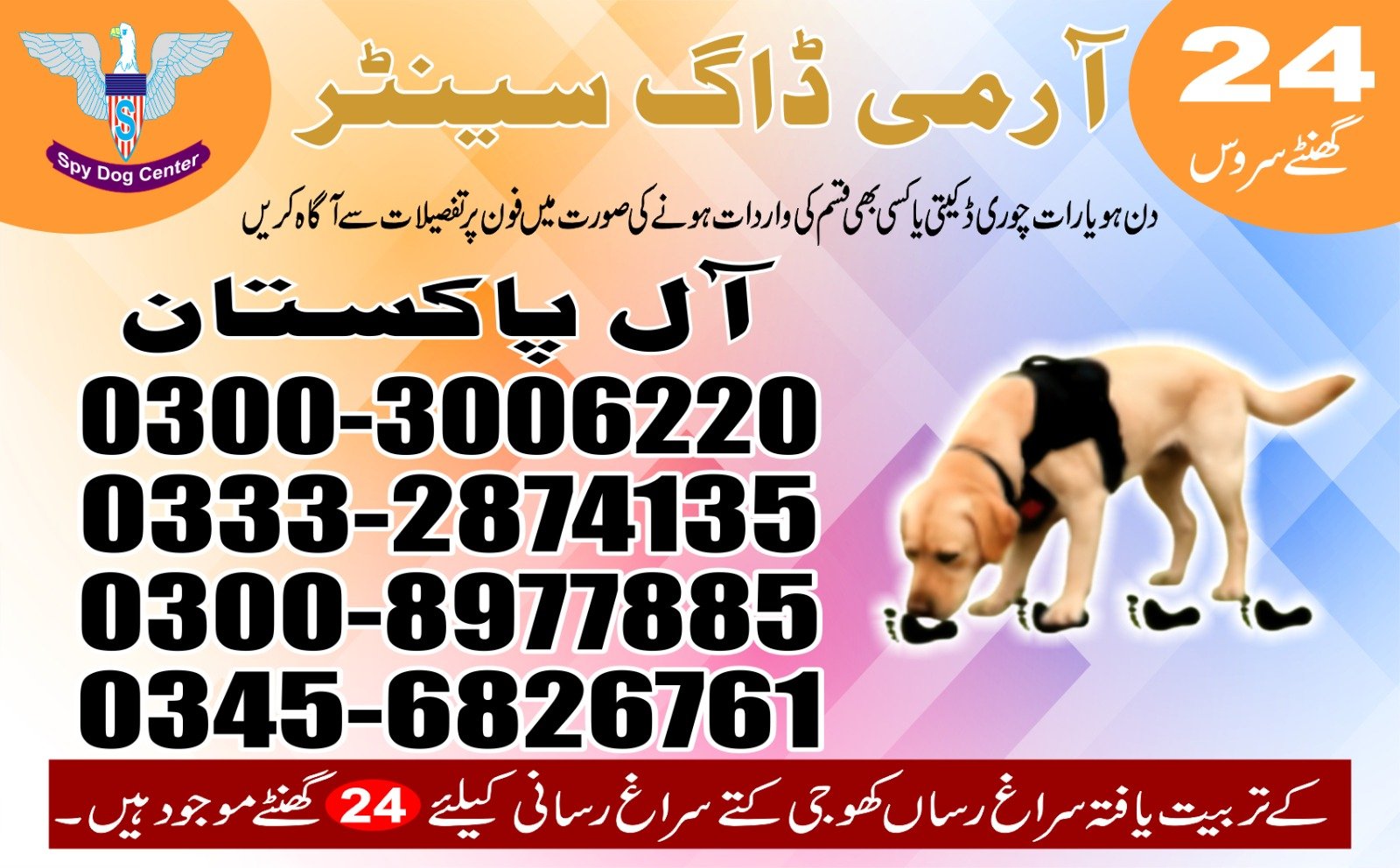 |  Army Dog Center  | |    dadu        24/7 | 03332874135