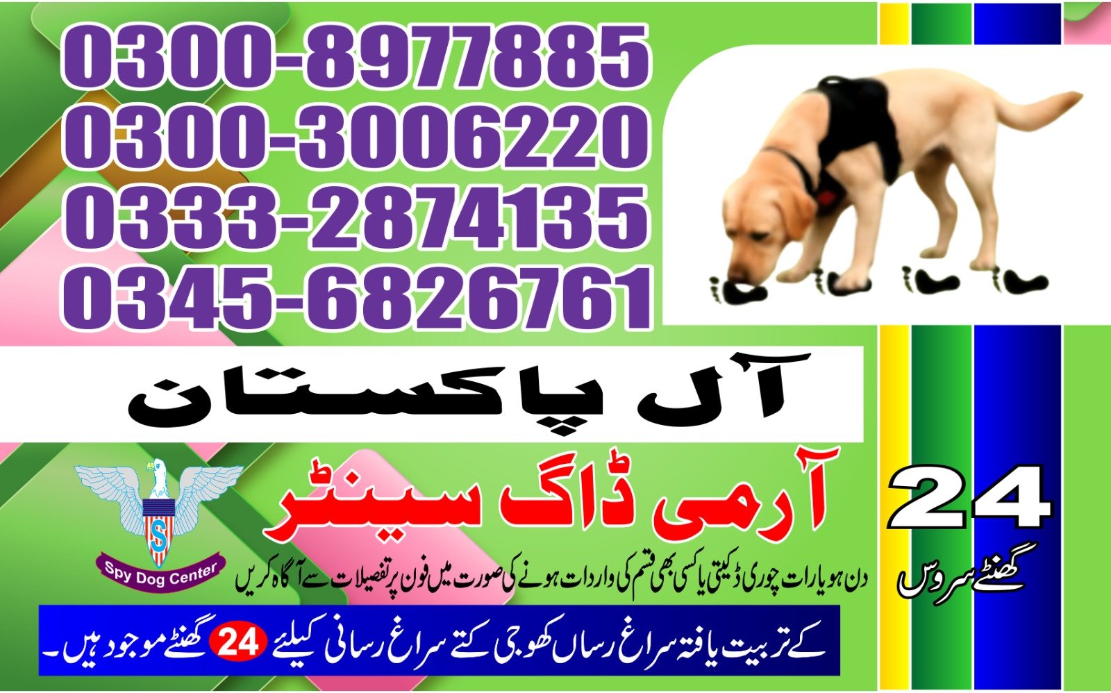 |  Army Dog Center  | |         derki   24/7 | 03332874135