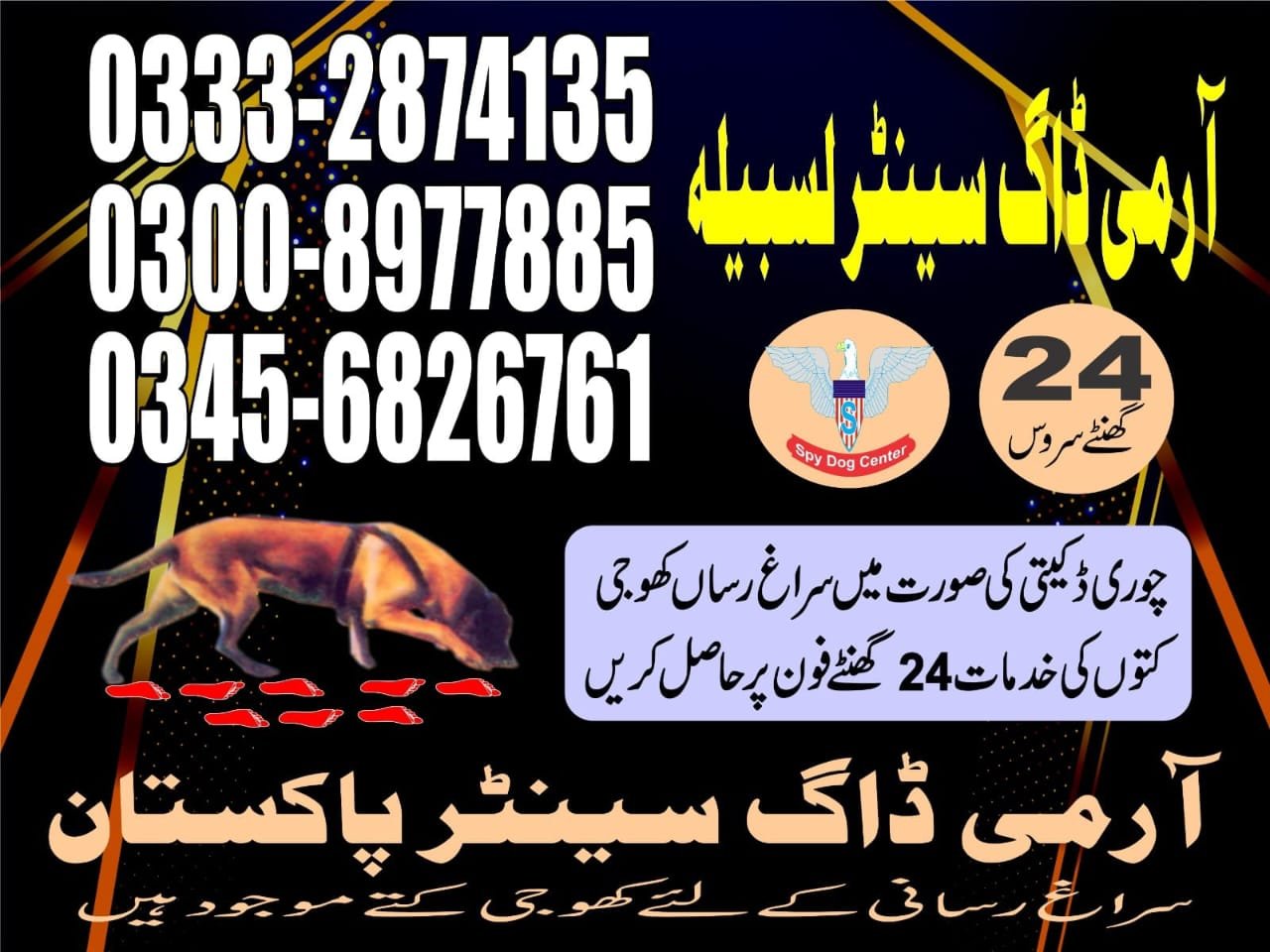 |  Army Dog Center  | |        Lasbela    24/7 | 03332874135