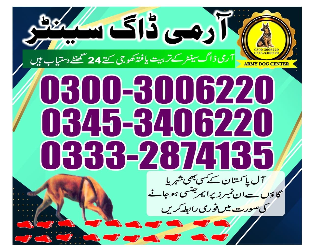 Army Dog Center  |   jamshoro | 03332874135 | 24/7