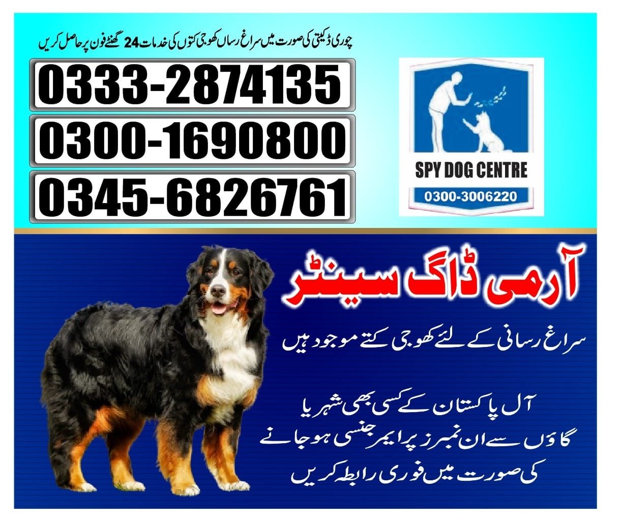 Army Dog Center.        Digri   03008977885 03332874135