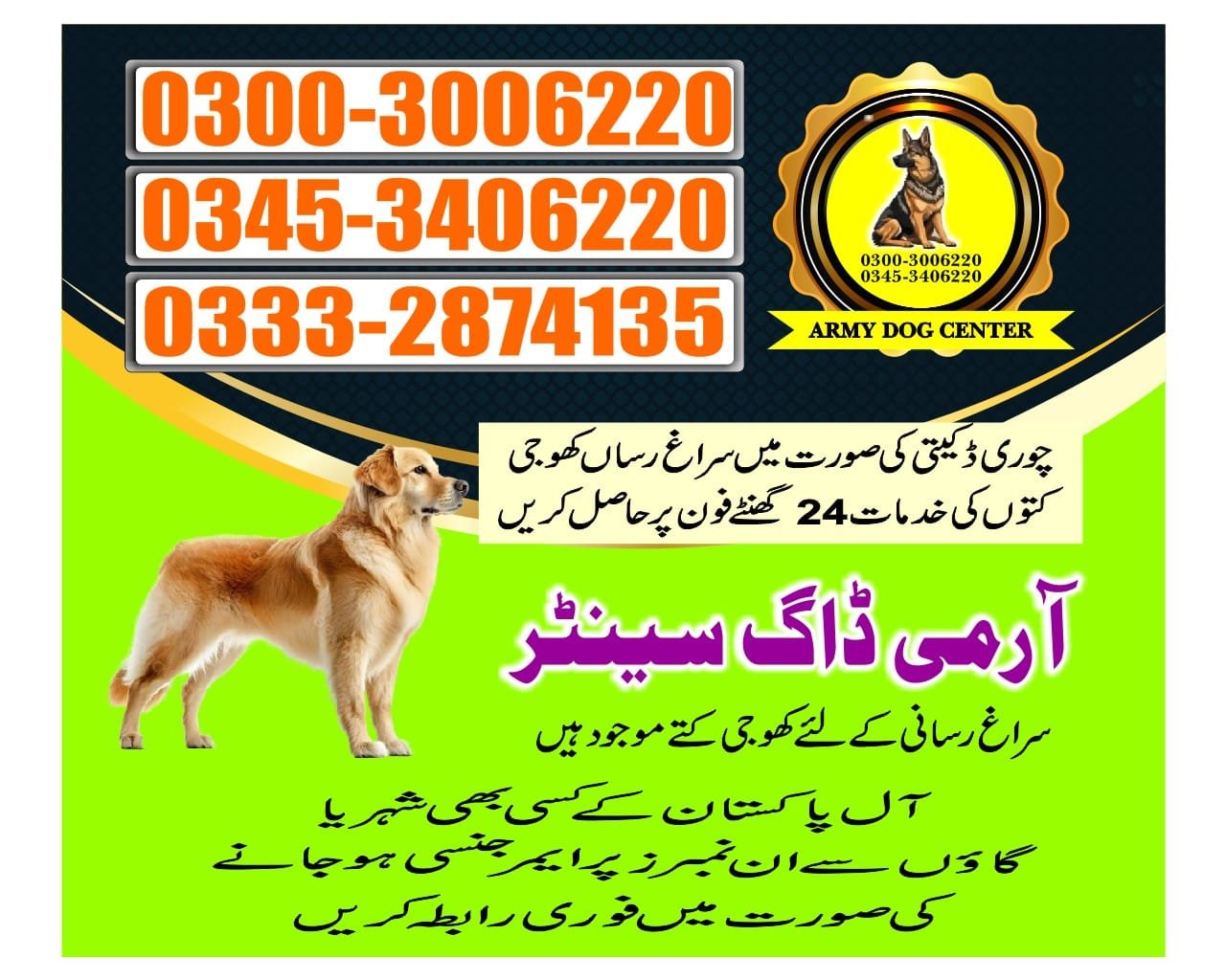 Army Dog Center.     Gothki  03008977885 03332874135