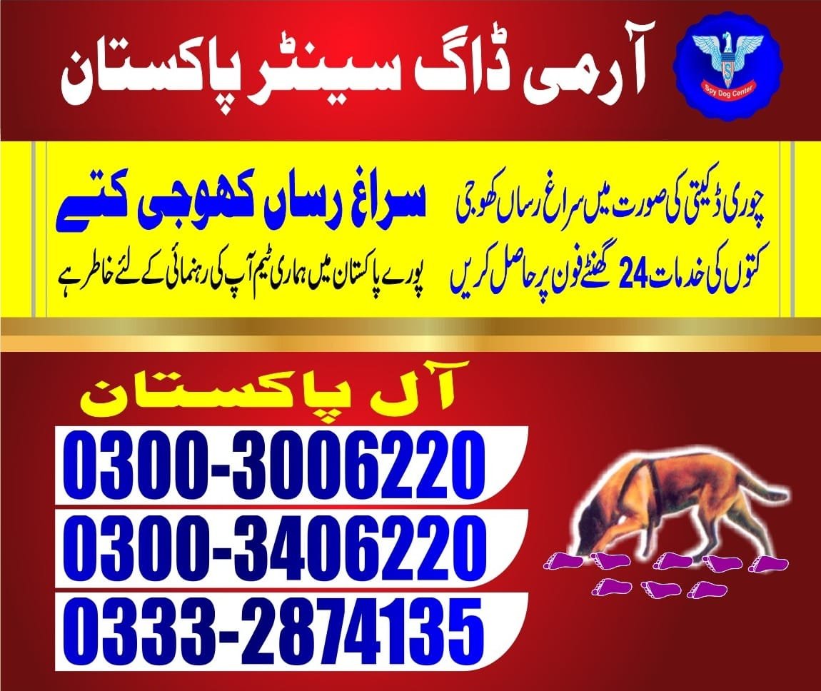 Army Dog Center.      Mirpurkhas       03008977885 03332874135