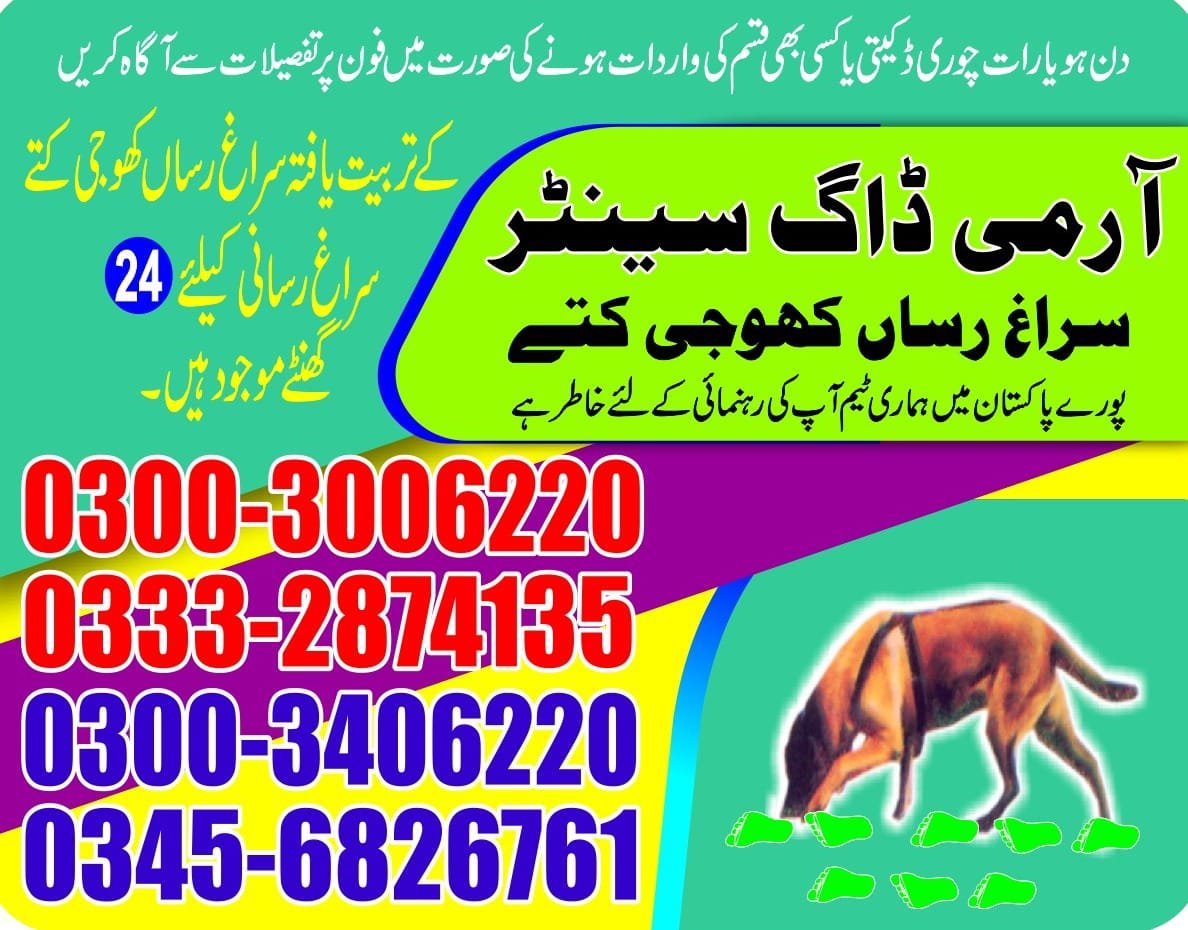 Army Dog Center    hyderabad  cantt 03008977885