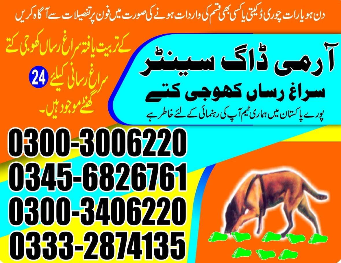 Army Dog Center    makli jhampir 03008977885