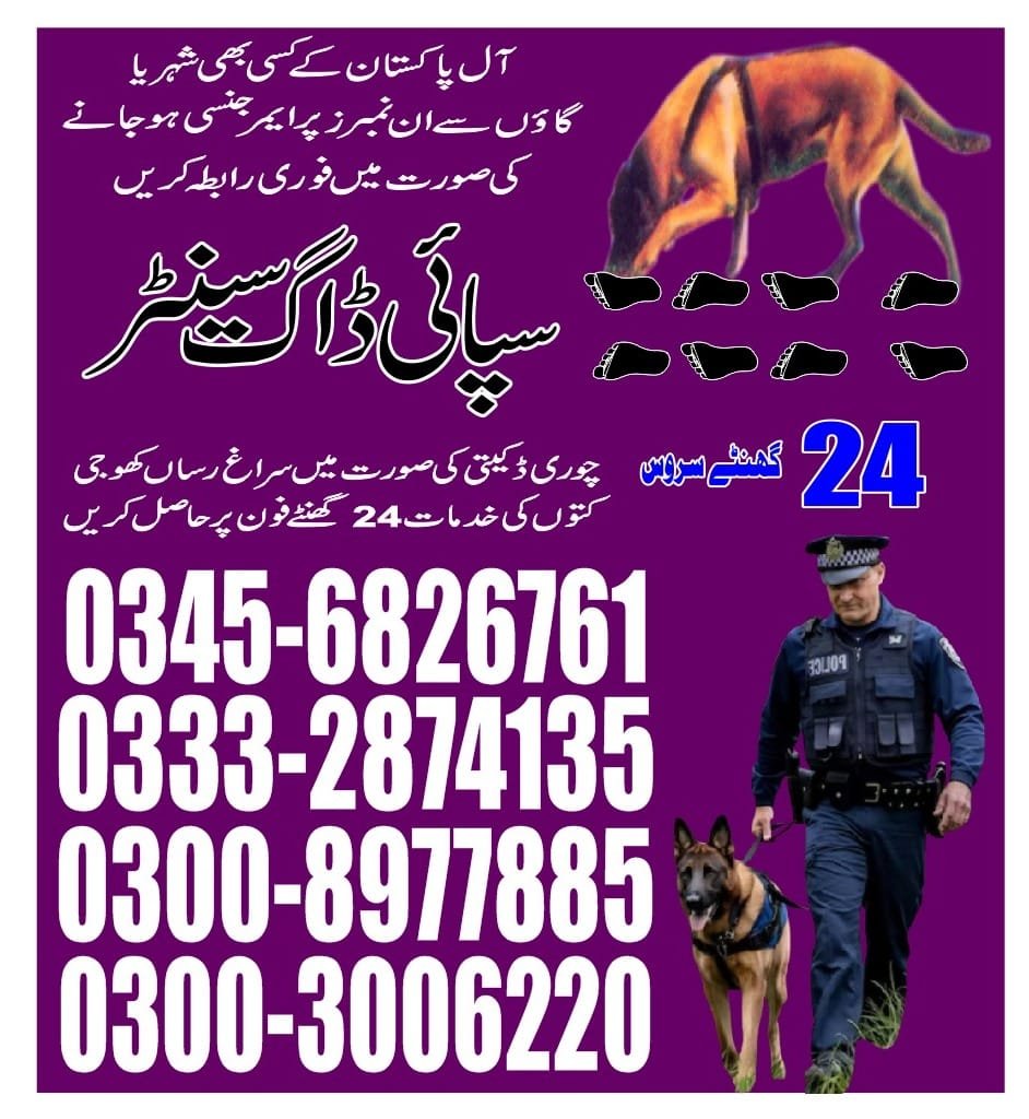 Army Dog Center |    Gujrat    | 24/7 | 03332874135