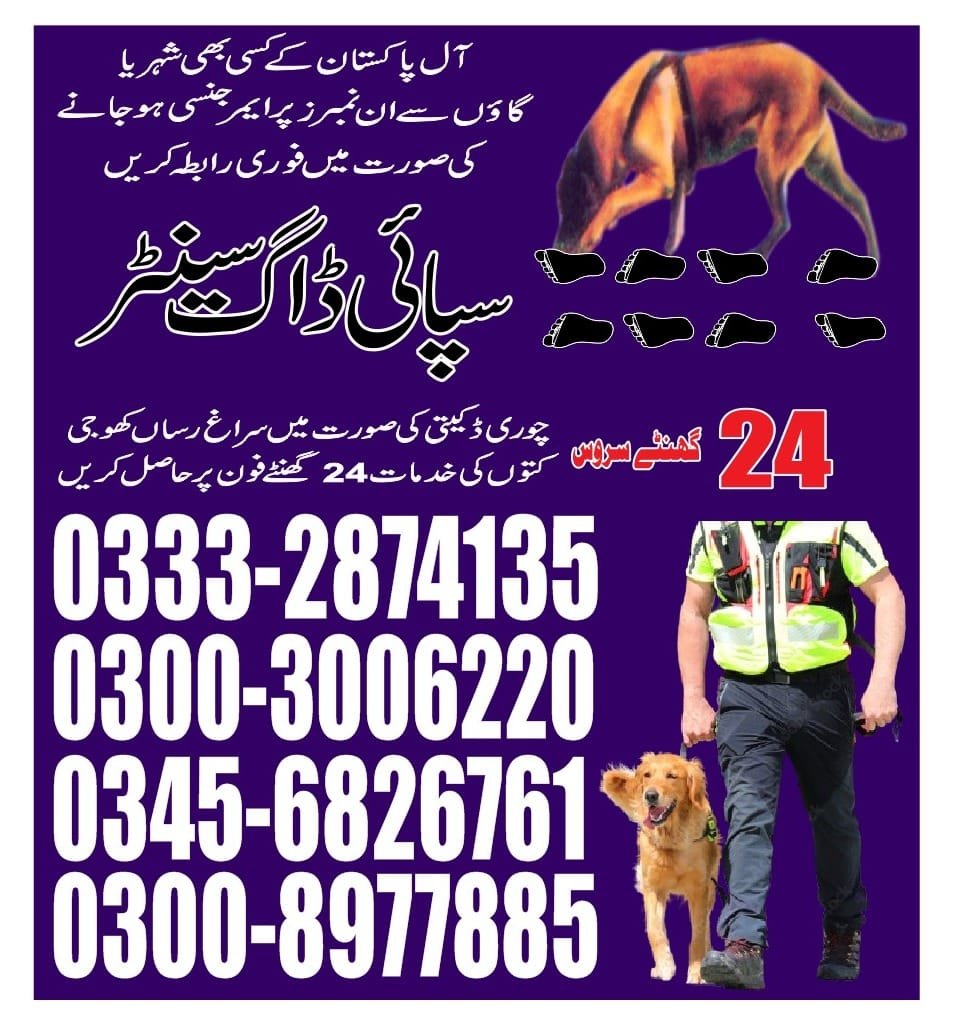 Army Dog Center |      mirpur mathelo | 24/7 | 03332874135
