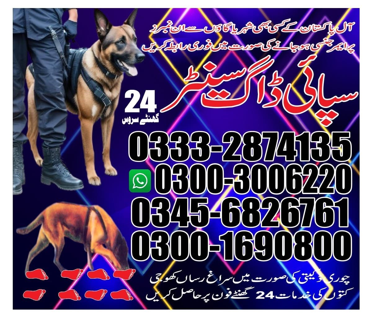 Army Dog Center |    mangla     | 24/7 | 03332874135