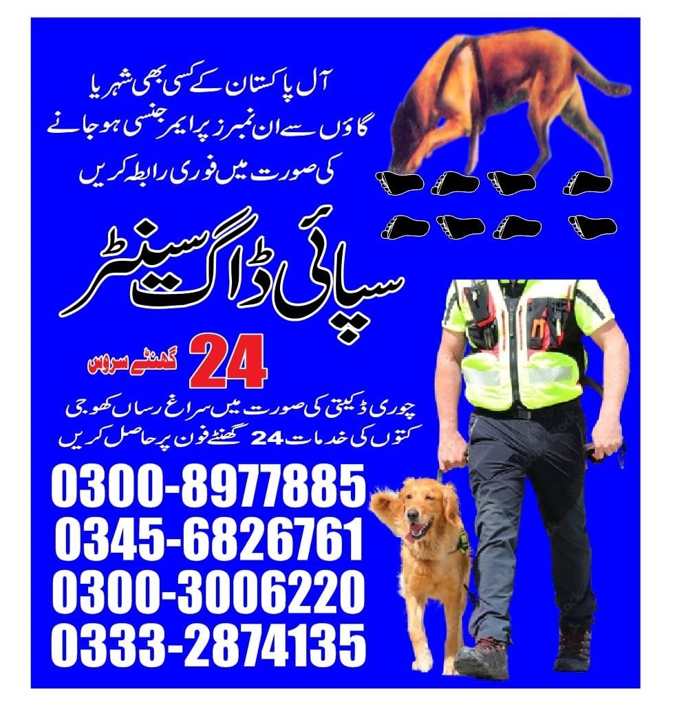 Army Dog Center |     Jhelum   | 24/7 | 03332874135