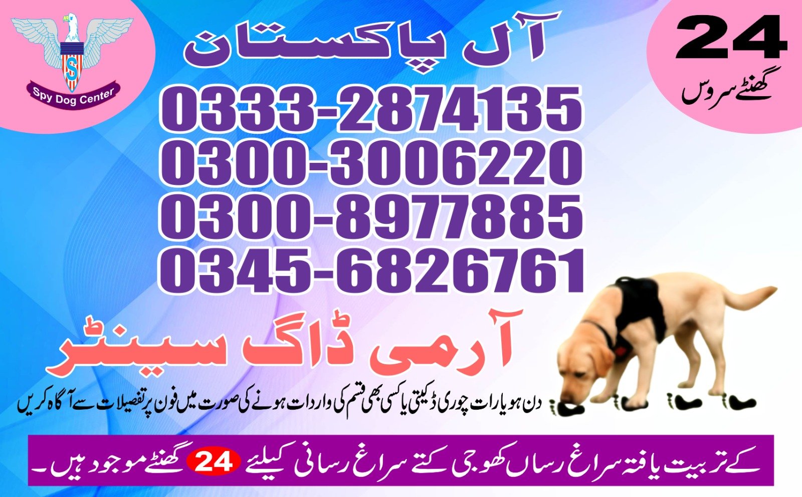Army Dog Center.  Chuhar Jamali          03008977885 03332874135