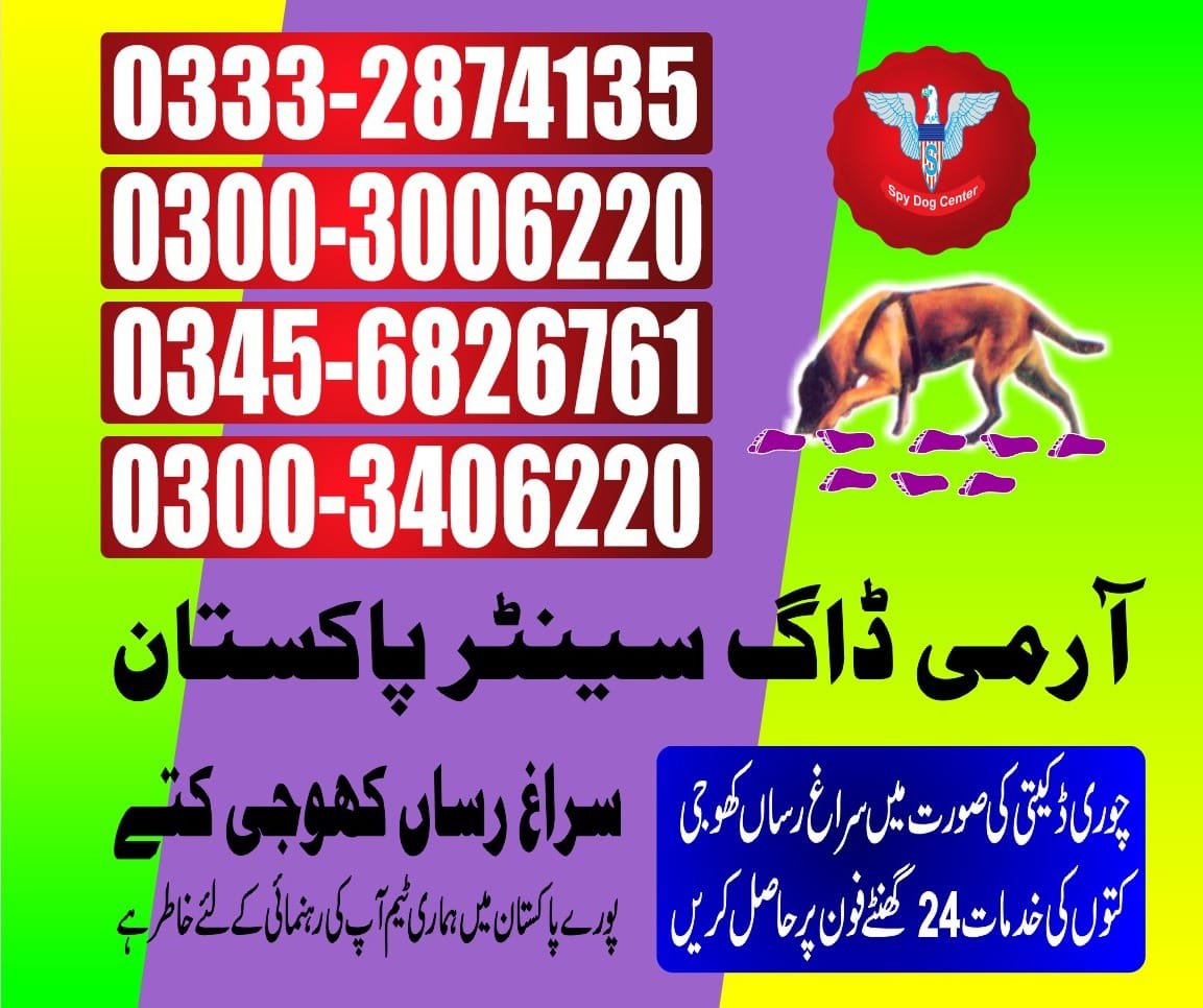 Army Dog Center.        Kati bandar    03008977885 03332874135