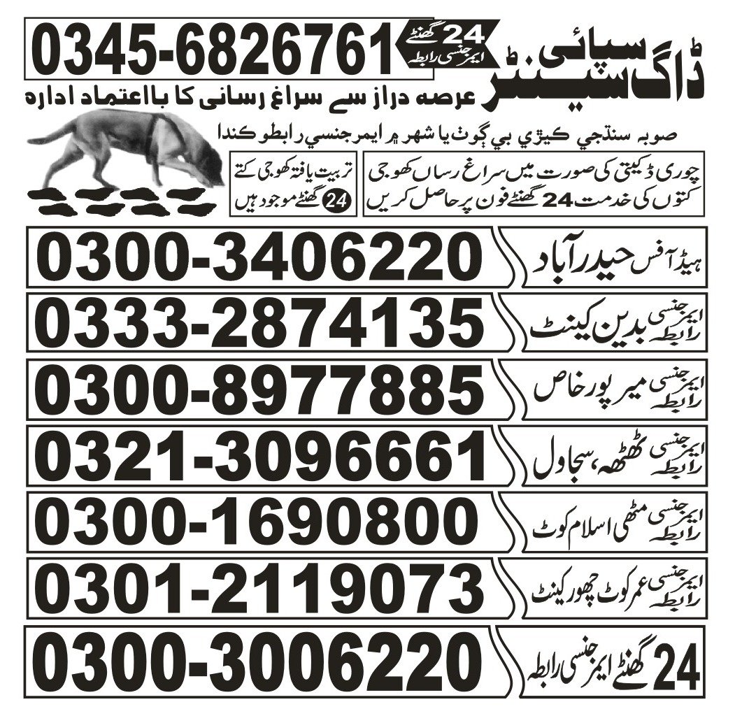 Army Dog Center    suba sindh 03332874135