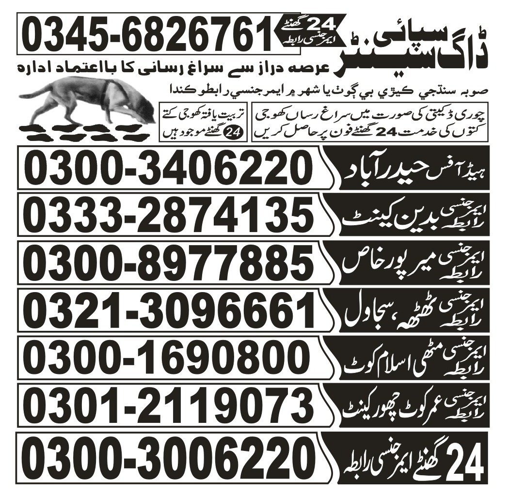 Army Dog Center Pakistan    03332874135