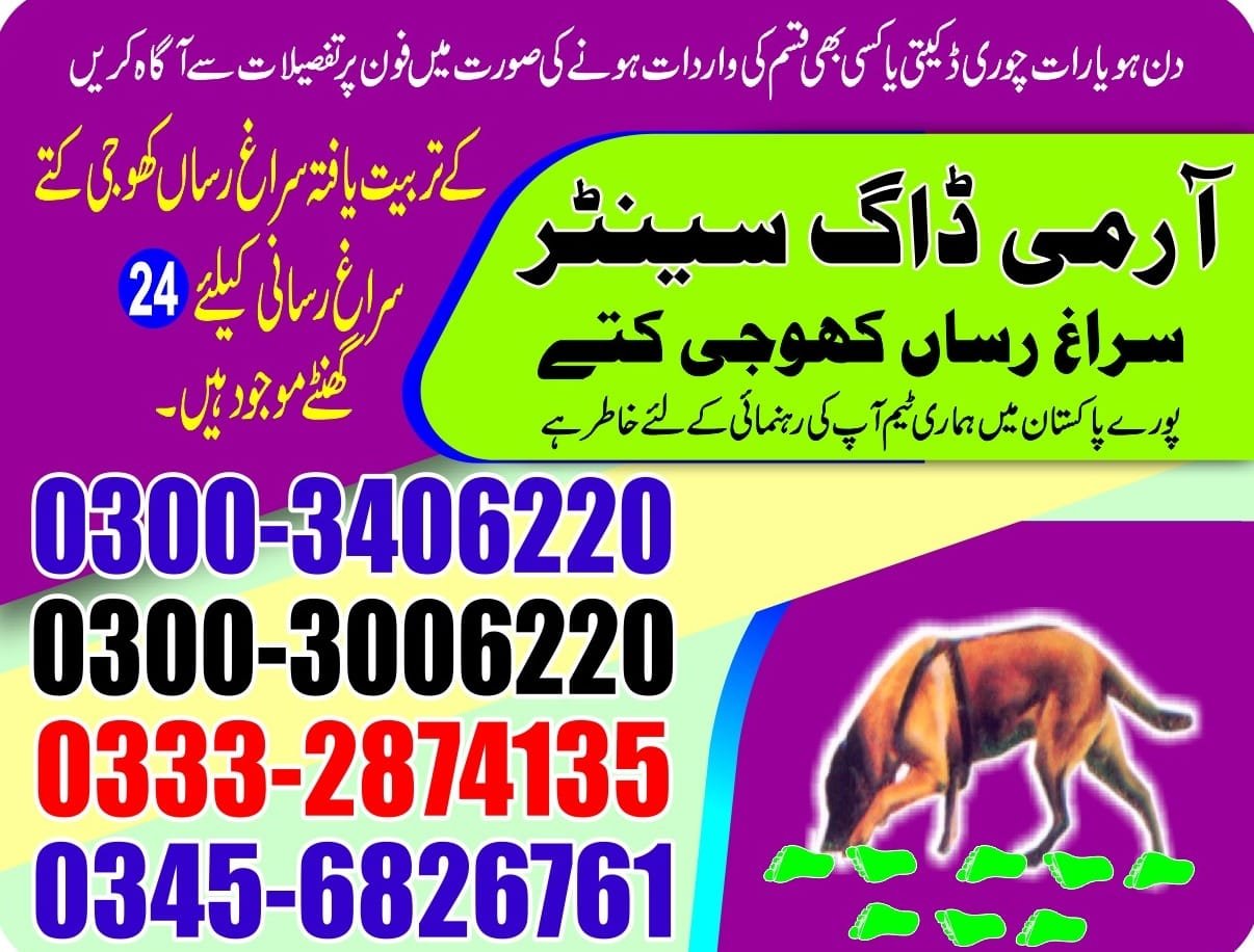 Army Dog Center  ||      Wazirabad|| 03332874135 ||24/7||