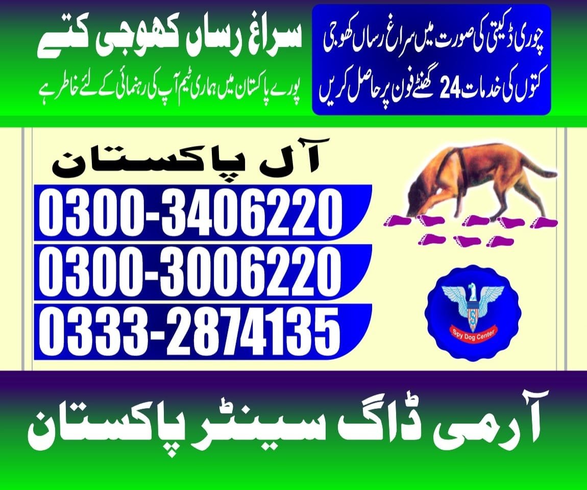 Army Dog Center  ||  Rahim yar khan || 03332874135 ||24/7||