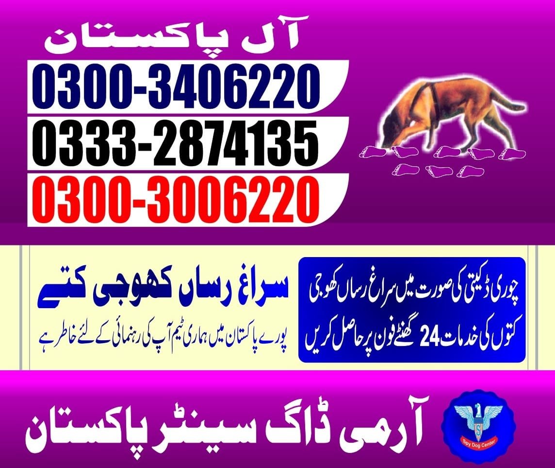 Army Dog Center  ||    kala shahkaku|| 03332874135 ||24/7||