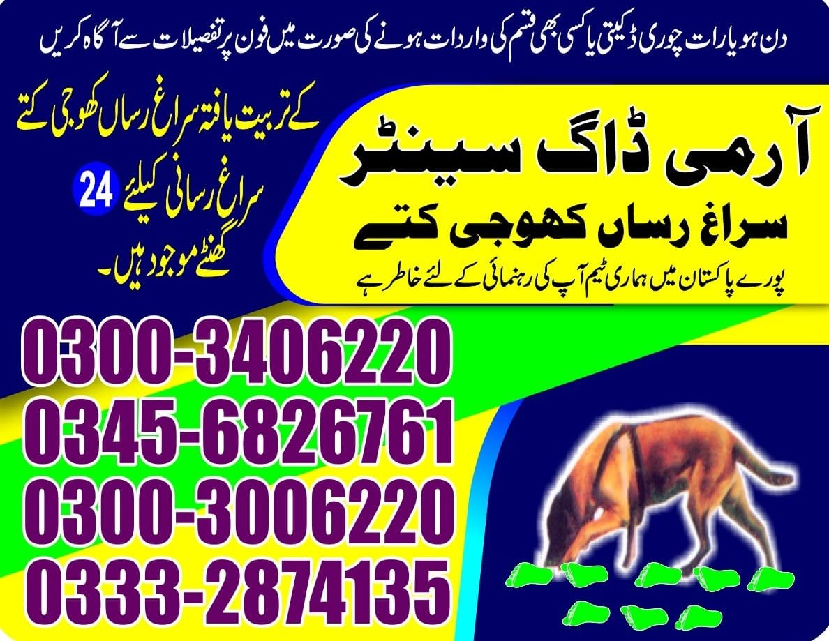 Army Dog Center  ||    lahore || 03332874135 ||24/7||