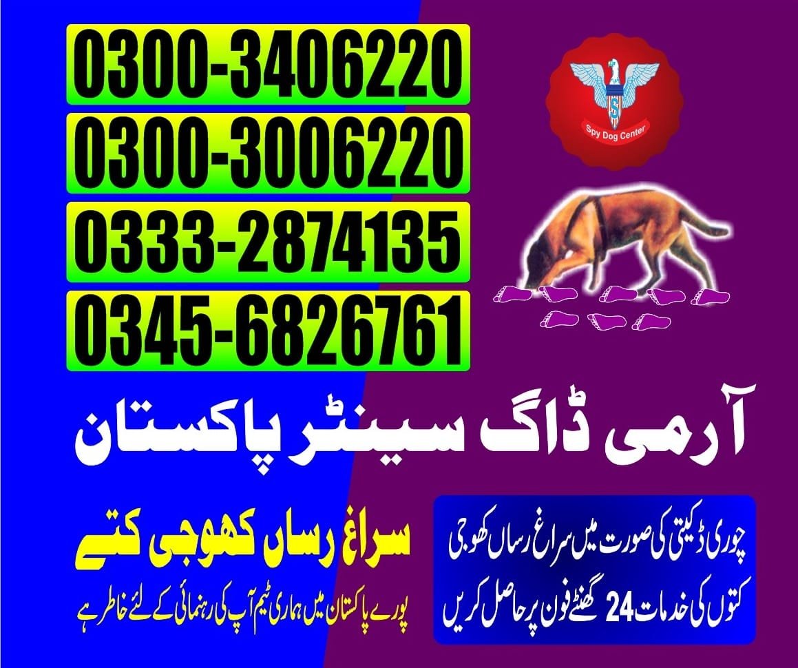 Army Dog Center | jhampir | 03332874135
