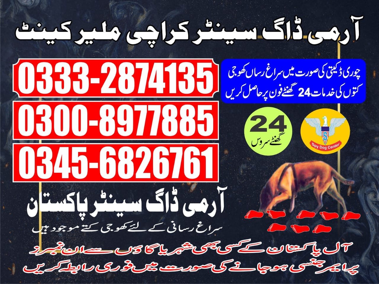 Army Dog Center |Malir canttkarachi| 03332874135