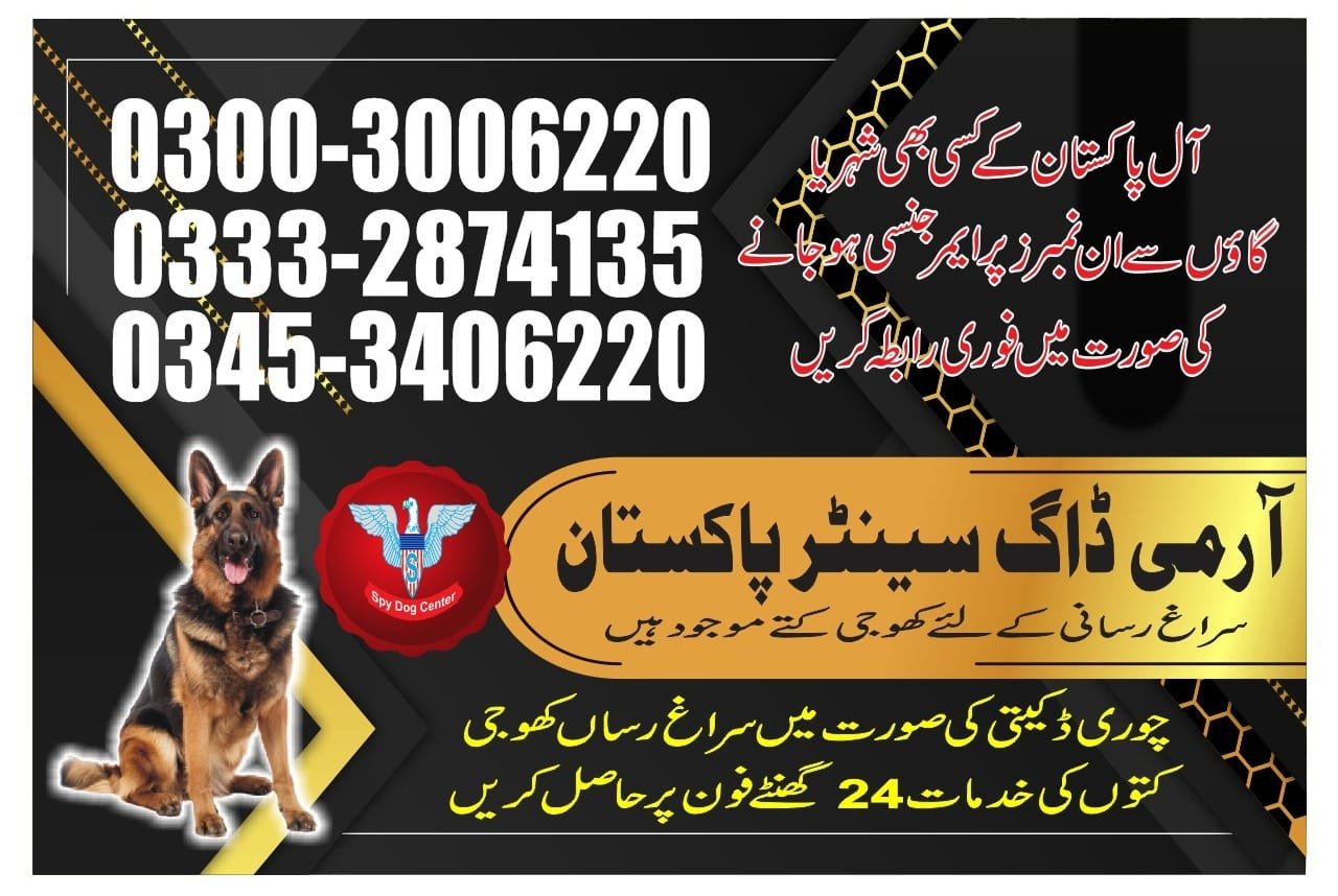 Army Dog Center | Pano aqil | 24/7 service | contact us now | 03332874135