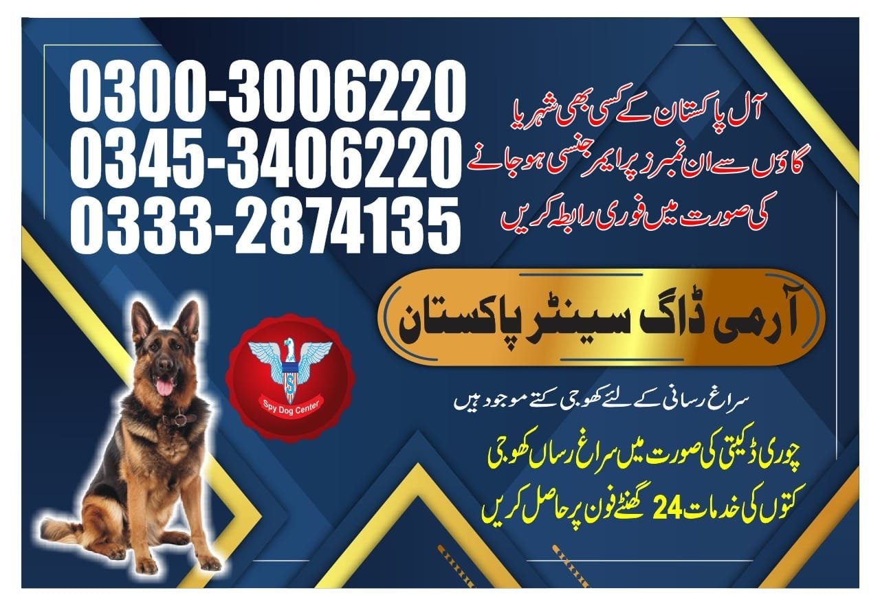 Army Dog Center | Sukkur | 24/7 service | contact us now | 03332874135