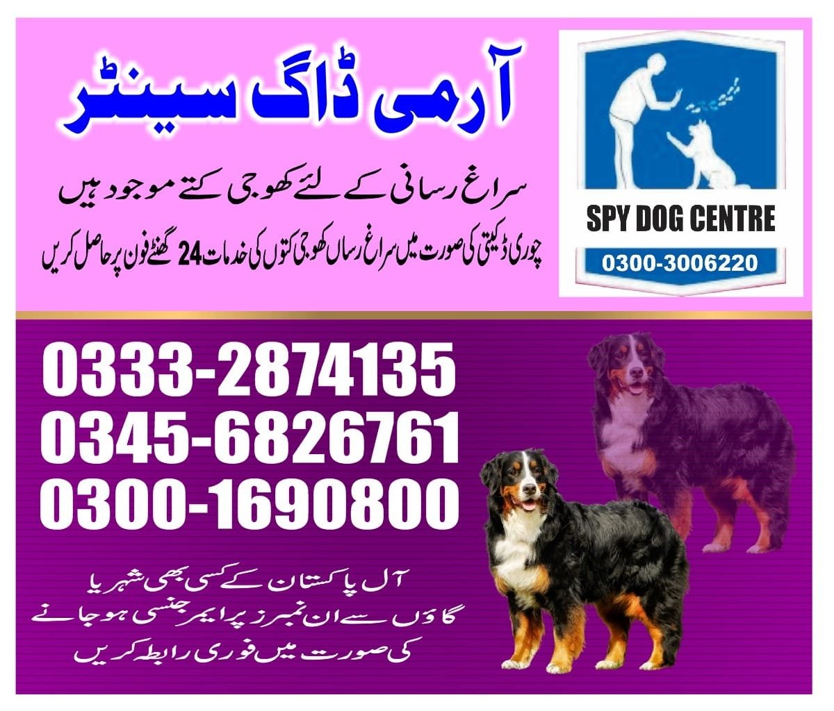 Army Dog Center |   jhuddo   | 03332874135